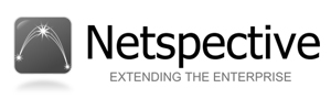 Netspective Communications LLC